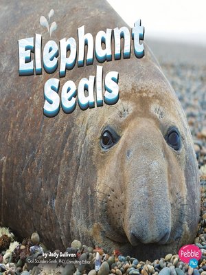 cover image of Elephant Seals